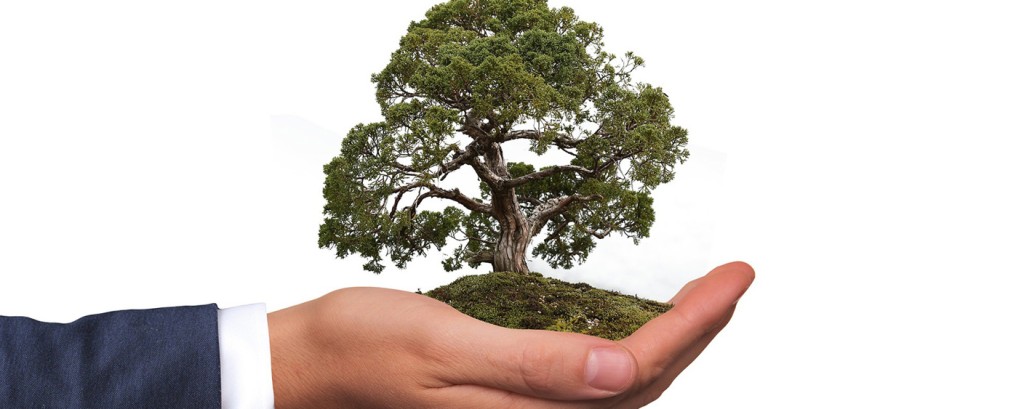 Umweltschutzbeauftragte