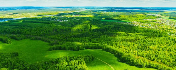 Wirtschaftliche Klimastrategien – nicht nur – für Klimaschutzbeauftragte