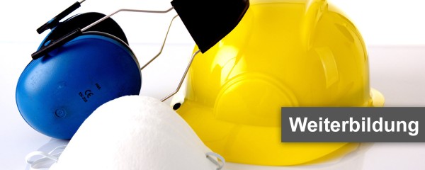 Weiterbildung für geprüfte EHS-(HSE-)Manager im Unternehmen (Enviroment, Health & Safety)