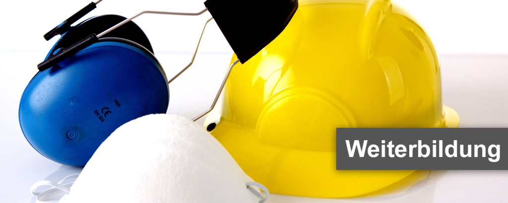 Weiterbildung für geprüfte EHS-(HSE-)Manager im Unternehmen (Enviroment, Health & Safety)
