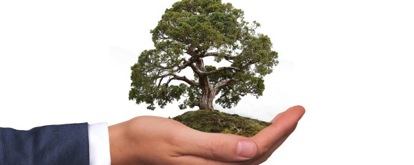 Umweltschutzbeauftragte