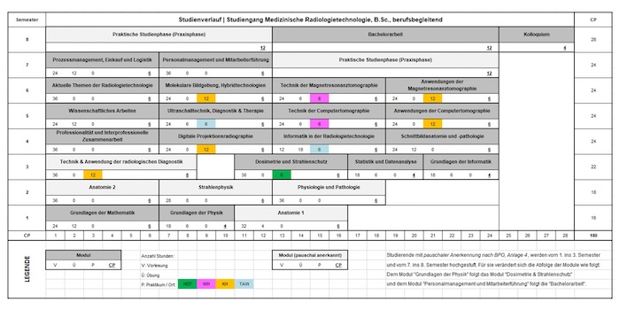 Ausschnitt aus dem Modulhandbuch: Studienverlauf und Modulübersicht