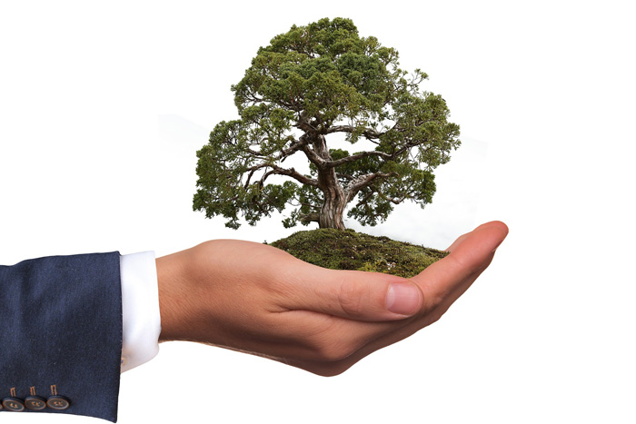 Von Umweltmanagement bis Nachhaltigkeitsstrategie: HDT gibt Impulse auf dem Weg zur Green Economy – Copyright: geralt – pixabay.com