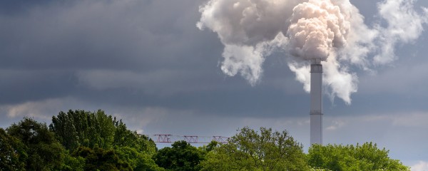 Immissionsschutzbeauftragte