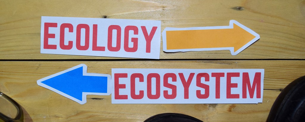 Life Cycle Assessment (LCA) in der Bauindustrie