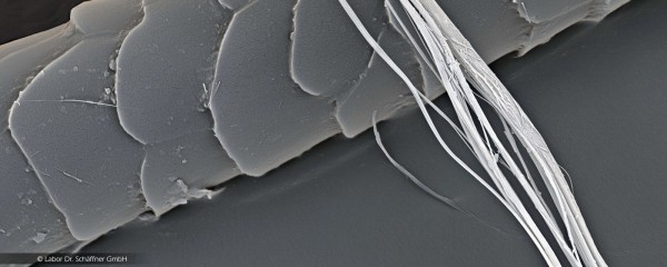 Lehrgang nach TRGS 519 Anlage 4C